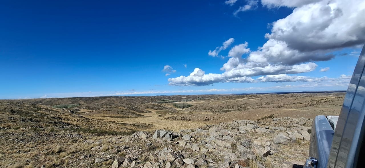 Campo de 281 hectáreas en San Luis, ideal para agricultura y ganadería. De estas, 37 hectáreas son aptas para cultivo. El terreno está subdividido en 4 lotes, todos con aguadas naturales de vertiente, lo que asegura el abastecimiento de agua para el ganado. Dos juegos de corrales completos (manda, corral y cargador), y un puesto con 2 dormitorios, cocina y comedor. Es ideal para cría y recría de ganado serrano, aprovechando las pasturas naturales del terreno. 800 USD por HECTAREA
